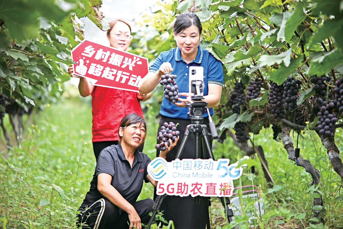 5G进果园　地头带货促增收（配图1）